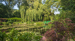 Pond View